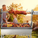 BBQ Rotisserie Grill Pig Lamb Chicken Roaster Spit Outdoor 25W Stainless Steel