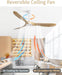 Modern 60 Inch Wooden Ceiling Fan With Remote