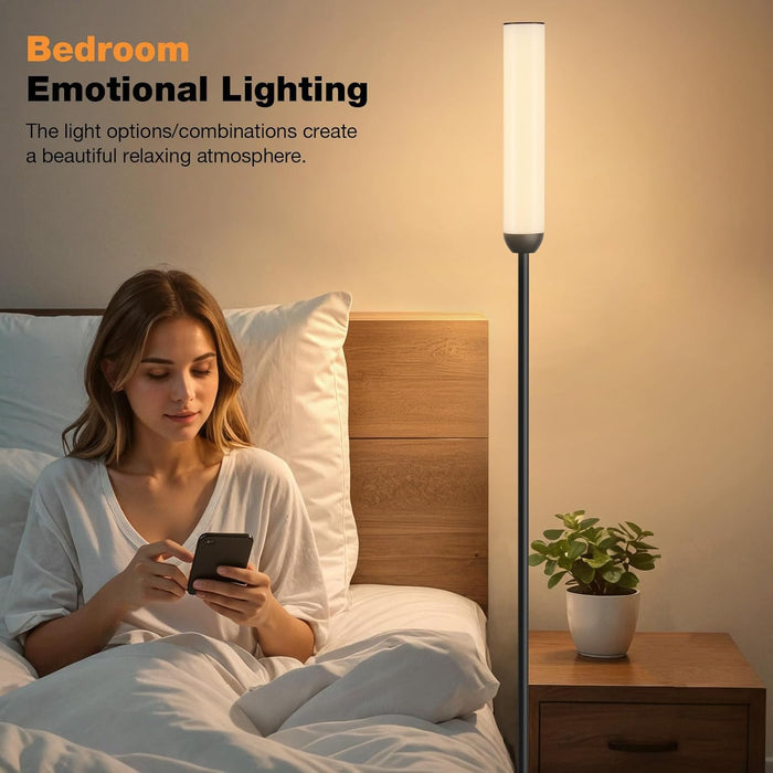 65Inch LED Floor Lamp With Dimmable ColorTemperature