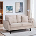 Modern Loveseat Couch with Pillow (63")