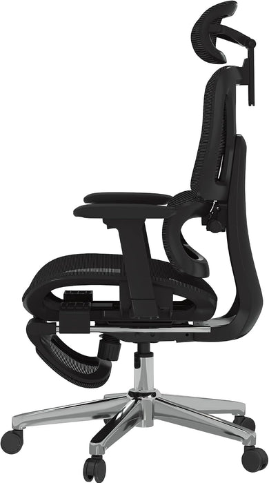 FLEXISPOT Ergox Premium Ergonomic Office Chair Black-Ft
