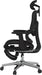 FLEXISPOT Ergox Premium Ergonomic Office Chair Black-Ft