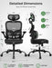 Ergonomic Office Desk Chair, Adjustable Dual Lumbar Support & Thick Seat