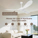 60 Inch Ceiling Fan without Lights, White | Outdoor Ceiling Fan with Remote, 6-Speed Adjustable Reversible DC Motor for Patio & Living Room
