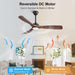 52 Inch Modern Ceiling Fan with Light and Remote & APP Control, ABS Ceiling Fan with 3 Blades and Downrods, Reversible Quiet DC Motor, Farmhouse Ceiling Fan for Bedroom Living Room Patio Porch