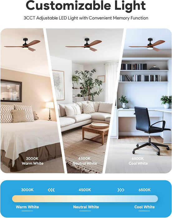 Contemporary Walnut 52 Inch Reversible Ceiling Fan