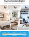 Contemporary Walnut 52 Inch Reversible Ceiling Fan