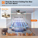 Ceiling Fans with Lights, 52 Inch Flush Mount Ceiling Fan with Remote Control, Wall Remote, Reversible, 3CCT, Dimmable, Noiseless DC Motor, Black Low Profile Ceiling Fan for Bedroom, Farmhouse