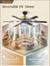 Ceiling Fan No Light, 48 Inch Indoor/Outdoor 6 Blades Ceiling Fan with Remote, 6-Speeds, Quiet Reversible DC Motor, Fans without Light for Tilted Ceiling/Bedroom/Living Room/Patios, 2 Pack