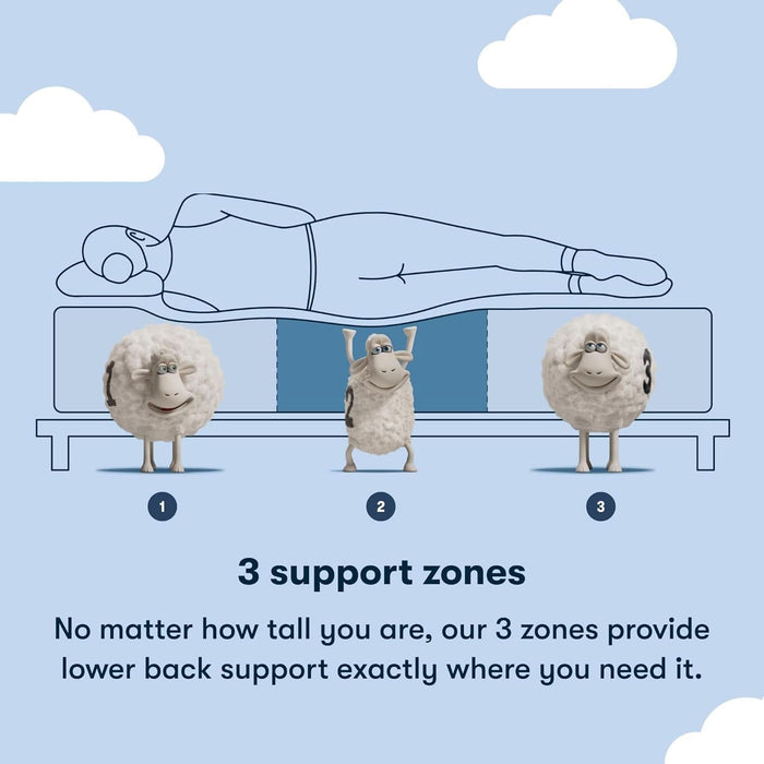 Sleeptrue Firm 12" Queen Memory Foam Mattress in a Box, Cooling, Breathable, and Pressure Relieving - 100 Night Trial, Certipur-Us Certified and 10 Year Limited Warranty