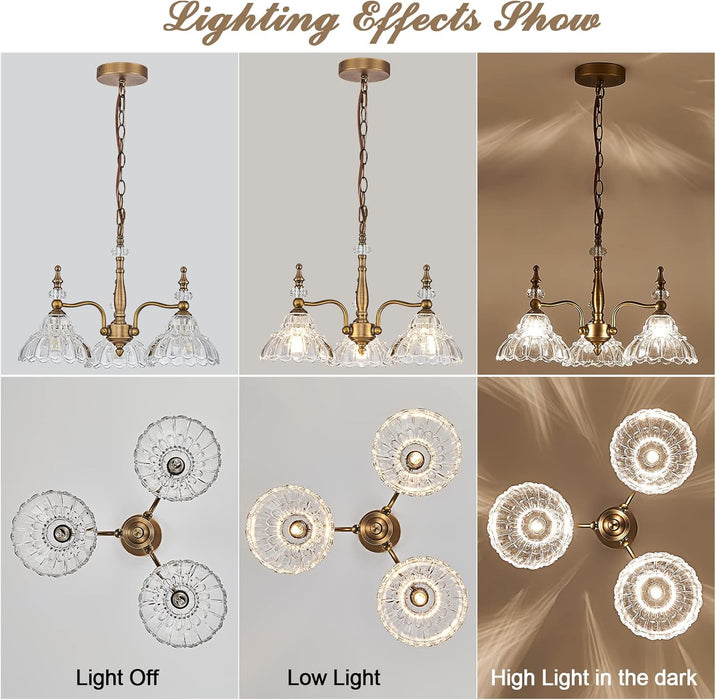 Chandelier Light 3 Lights Chandeliers Lamp Modern Pendant Lighting Fixtures for Dining Room Entryway Living Room Bedrooms Foyer Entrance Kitchen
