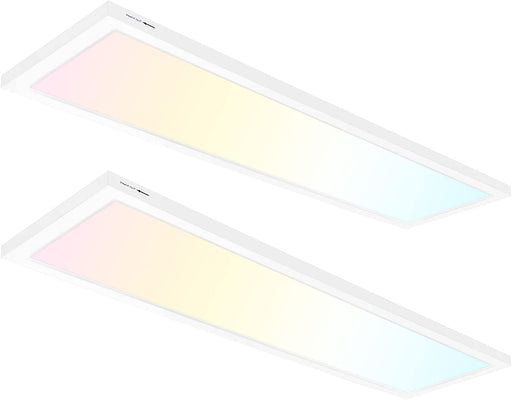 1X4 FT LED Flat Panel Selectable CCT Flush Mount Light,4800Lm,48W Dimmable Ultra Slim Edge-Lit Ceiling Light, 3000K/4000K/5000K Built-In Driver Surface Mount Lights for Kitchen Garage,2 Pack