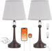 Touch Brown Table Lamp Set of 2 with USB C+A Ports-19.7''
