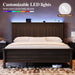 Queen Size Bed Frame with Tall Headboard, Mid Century Modern Wood Platform Bed with Charging Ports and LED Lights, Solid Wood Slat Support, No Box Spring Needed, Easy Assembly, Walnut Brown
