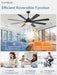 Precision Engineered Energy Efficient Black Ceiling Fan