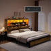Queen Size Bed Frame with Storage Bookcase Headboard & RGB LED Lights, Slide Out Bedside Storage, Charging Station, Heavy Duty Metal Slats, No Box Spring Needed, Noise-Free, Rustic Brown