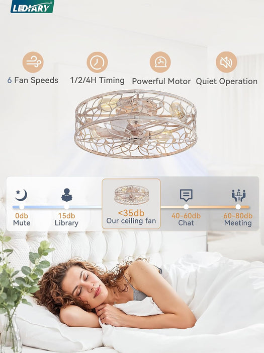 Contemporary 23 Inch White Gold Caged Ceiling Fan