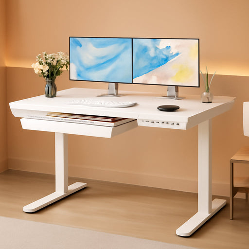 Standing Desk with Drawer, 48 X 24 Inch Whole Piece Tabletop Electric Standing Desk, Height Adjustable Desk with USB Charging Ports, Sit Stand Desk with Storage for Home & Office White