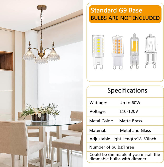 Chandelier Light 3 Lights Chandeliers Lamp Modern Pendant Lighting Fixtures for Dining Room Entryway Living Room Bedrooms Foyer Entrance Kitchen