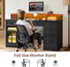 Farmhouse Executive Desk with Drawers Computer Desk with File Drawers, Power Outlet and Led Lights, Executive Office Desk with Storage Cabinet and Monitor Shelf for Home Office, Black