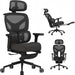 Ergonomic Office Chair with Dual-Lumbar Support, 3D Armrests