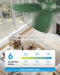 ThirtySixInch Ceiling Fan With Remote Reversible Motor