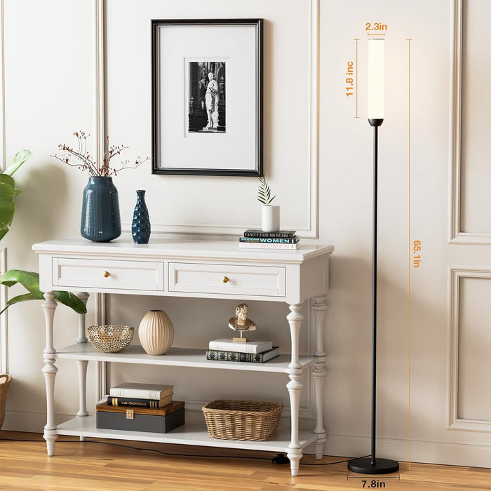 65Inch LED Floor Lamp With Dimmable ColorTemperature