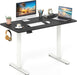 Electric Standing Desk, 48" X 24" Height Adjustable Sit Stand Computer Workstation with 2 Memory Heights, Headphone Hook, Anti-Collision Design, Home Office Computer Desk (Black+White)