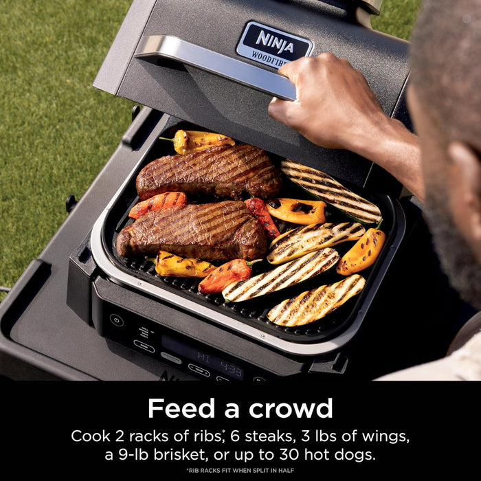 Woodfire Outdoor Grill & Smoker, 4-In-1 Functionality, Grill, Smoke, Bake, Roast, Authentic Woodfire Flavors, Electric Heat, OG301