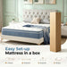 Queen Mattress, 12 Inch Hybrid Queen Size Mattress in a Box