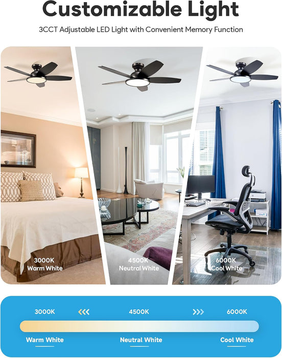 Contemporary 42 Inch Anthracite Indoor Ceiling Fan