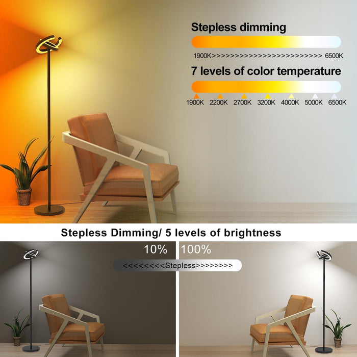 Floor Lamp 75InchTall With Rotatable Ring Illumination