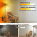 Floor Lamp 75InchTall With Rotatable Ring Illumination