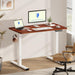 EN1 One Piece Standing Desk 48 X 24 Inch Desktop Electric Adjustable Height Desk Home Office Computer Workstation Sit Stand up Desk (White Frame + 48" Mahogany Top, 2 Packages)