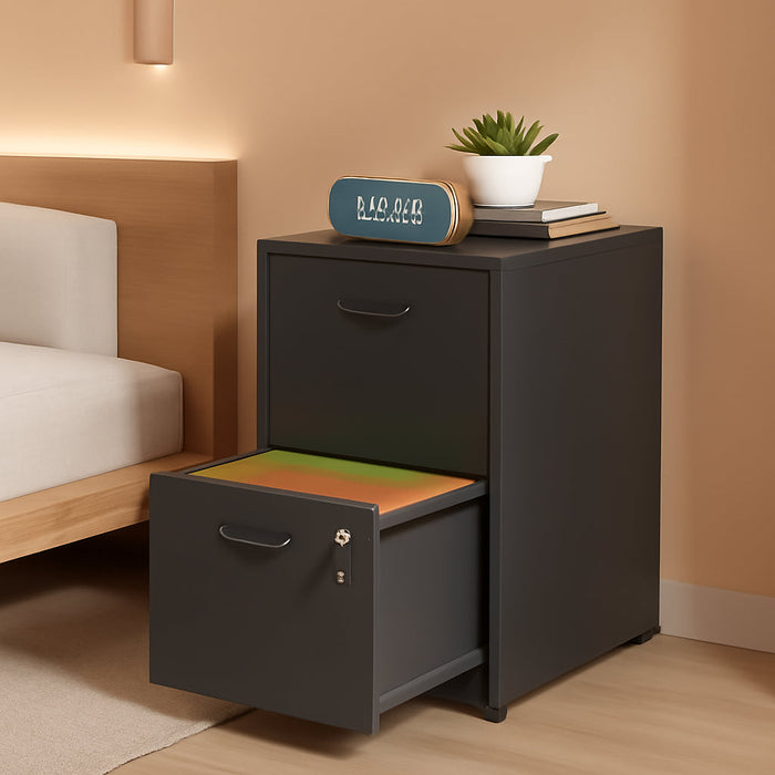 2 Drawer Filing Cabinet with Lock, Black Metal File Cabinets for Home Office, Light Duty Locking Vertical File Cabinet, Steel File Storage Cabinet for Hanging Letter Size File - Assembly Required