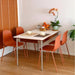 Dining Chairs Set of 2, Plastic Stackable Kitchen Chairs, Modern Indoor/Outdoor Chair with Metal Legs for Dining Room, Kitechen, Cafes, Restaurants (Terracotta)