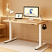 EN1 One Piece Standing Desk, 48 X 24 Inches Height Adjustable Desk Electric Stand up Desk Home Office Table for Computer Laptop (White Frame + Maple Desktop)