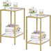 Side Tables Set of 2, End Tables with Tempered Glass, 2-Tier Nightstands with Storage Shelves, Coffee Table with Modern Style, Slim Sofa Table for Living Room, Bedroom, 11.8" D X 15" W, Golden