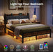 Queen Size Bed Frame with Storage Headboard, LED Lights