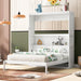 Queen Murphy Cabinet Bed Integrated Shelving White