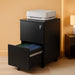 2-Drawer Rolling File Cabinet with Lock, Metal Filing Cabinet for Home Office, Fully Assembled under Desk Cabinet, Black
