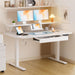 Electric Standing Desk with Drawers, 48 X 24 Inches Height Adjustable Computer Desk with Monitor Stand, Laptop Stand, Sit Stand up Desk with Memory Preset for Home, Office, White