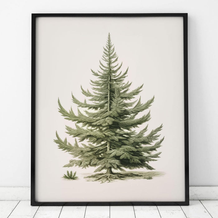 Christmas Tree Art Print, Vintage Fir Botanical Sketch, Christmas Tree Painting Print, Pine Tree Antique Print, Christmas Tree Wall Art