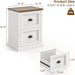 Vertical File Cabinet with 2 Drawers for Home Office, White