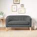 Grey Mid-Century Loveseat: Modern, Stylish Design