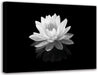 Zen Canvas Wall Art Lotus Flower Canvas Painting Black and White Floral Pictures Modern Meditation Frame Ready to Hang (Black and White Lotus Flower - 3, 8"X10"(20X25Cm))