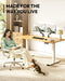 Solid Bamboo Dual Motor Standing Desk, 220 Lbs, 48×24