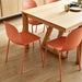Dining Chairs Set of 2, Plastic Stackable Kitchen Chairs, Modern Indoor/Outdoor Chair with Metal Legs for Dining Room, Kitechen, Cafes, Restaurants (Terracotta)