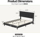 Queen Bed Frame, Chenille Button Tufted Design Upholstered Headboard, Black