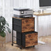 Mobile Printer Stand with 2 Drawers, File Cabinet for Home Office